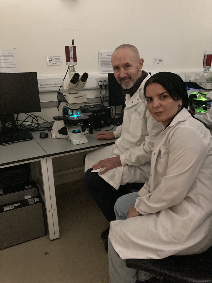 We're thrilled to name Dr. Zhila Maghbooli (Iran) as the 1st awardee of TSF's Diagnostics Fellowship.

Dr. Maghbooli spent 4 weeks with Dr. Paddy Waters at <a href="/UniofOxford/">University of Oxford</a> learning how to set up and run a live cell-based assay for #MOGAD

Read more: sumairafoundation.org/zhila-maghbool…