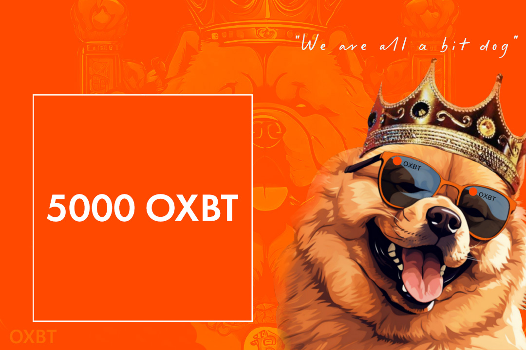 ''5000 $OXBT GIVEAWAY'' by Bitdog, the faithful companion of Satoshi Nakamoto.

🟧 follow @OXBT_BRC20 
🟧 retweet
🟧 like
🟧 bookmark
🟧tag 3 friends and reply your btc address

 All of it. 72h. We are all a bit dog.🫡