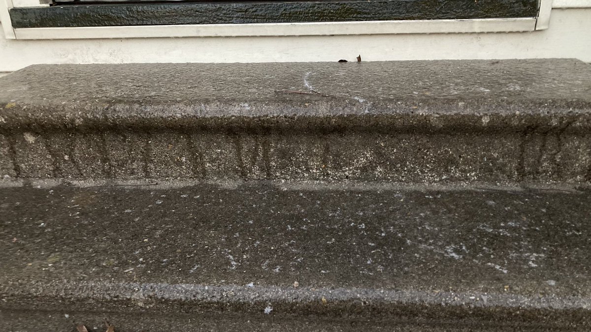 WXMason20's tweet photo. As expected a fair amount of ice on vegetation, cars, homes and even sidewalks this morning in SWLA.

📌Jennings #lawx

@NWSLakeCharles @robperillo @DopplerDan47 @Helicity300 https://t.co/IaNJMdDe9A