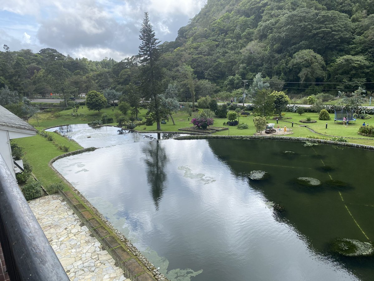 HotelBambito's tweet photo. Buenos días desde tierras altas #Chiriqui les desea 
El #HotelBambito #NaturalmenteBambito #Panamá 
Teléfonos:  6914-2902 771-4265/771-4373 https://t.co/i4f6mMLmkq