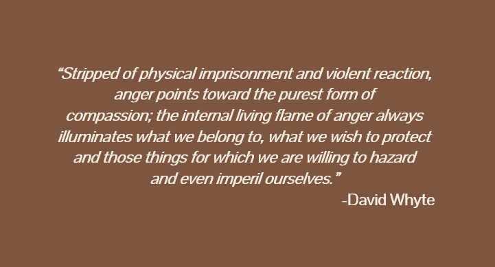 QuotationsPod's tweet photo. This week, we examine our 2nd quote by David Whyte from his book, Consolations. Anger can teach us much if we let it. 

More in Episode 188, out now!

👉https://t.co/LrvzEWT22y👈

#quote #quotes #quotations #podcast #consolations #anger @DavidJWhyte https://t.co/T953vJyaph