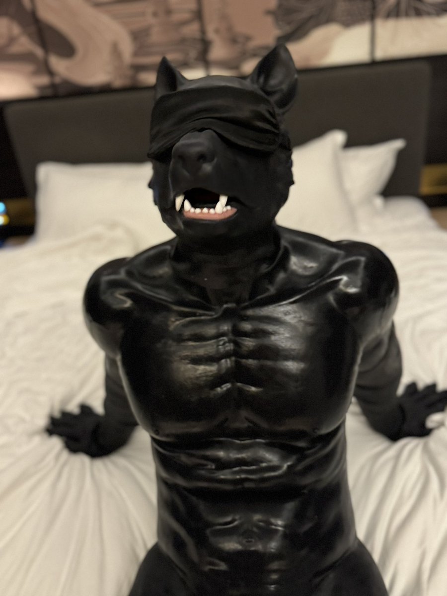 RubberDog273's tweet photo. 渴望被爱抚的狗狗 https://t.co/KLX6y2UKYd