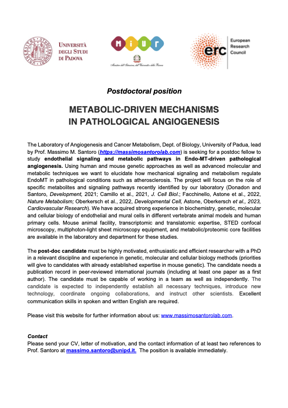 TheSantoroLab's tweet photo. A post-doctoral position is open in our lab to those interested in decoding the metabolic-driven mechanisms in EndoMT and atherosclerosis. https://t.co/4ifehCkOMQ
