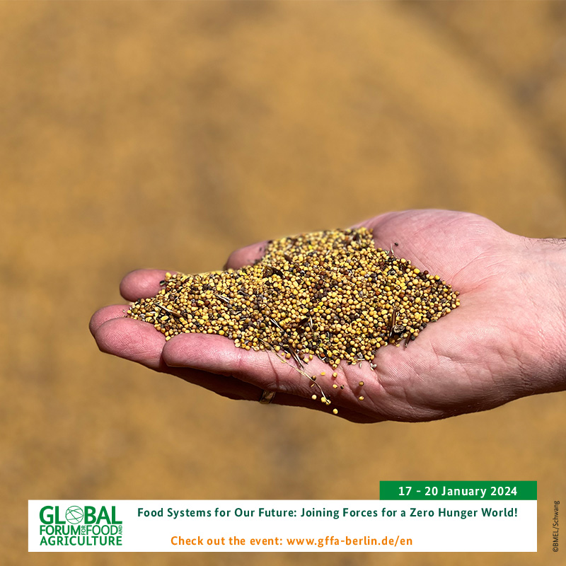 The Global Forum for Food and Agriculture 2024 #GFFA by @bmel starts tomorrow. We are looking forward to fruitful discussions, e.g. at our side event on #ZeroHunger in agricultural production and the Food Security Standard @FoodSecStandard on 19 Jan. 👉 welthungerhilfe.org/news/latest-ar…