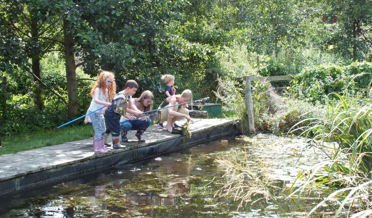 We are delighted that voting is open at your local <a href="/Tesco/">Tesco</a> for funding our Windmill Wellbeing Garden. Vote for us with your blue token to revamp our pond area with dipping platform, birdwatching &amp; storytelling areas for all our children to enjoy #strongerstarts <a href="/Batley_News/">Batley&BirstallNews</a>