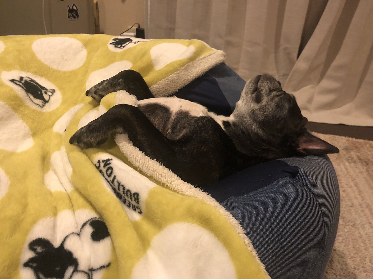 Misya28's tweet image. 可愛い😍