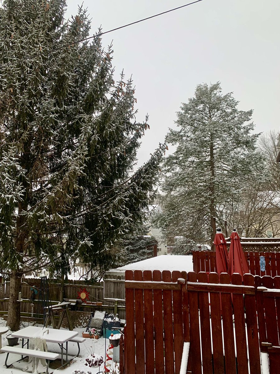 KevinClamato's tweet image. The backyard is gorgeous with 2.0” of #Snow so far in Northumberland, PA. 
#PAWx #PASnow