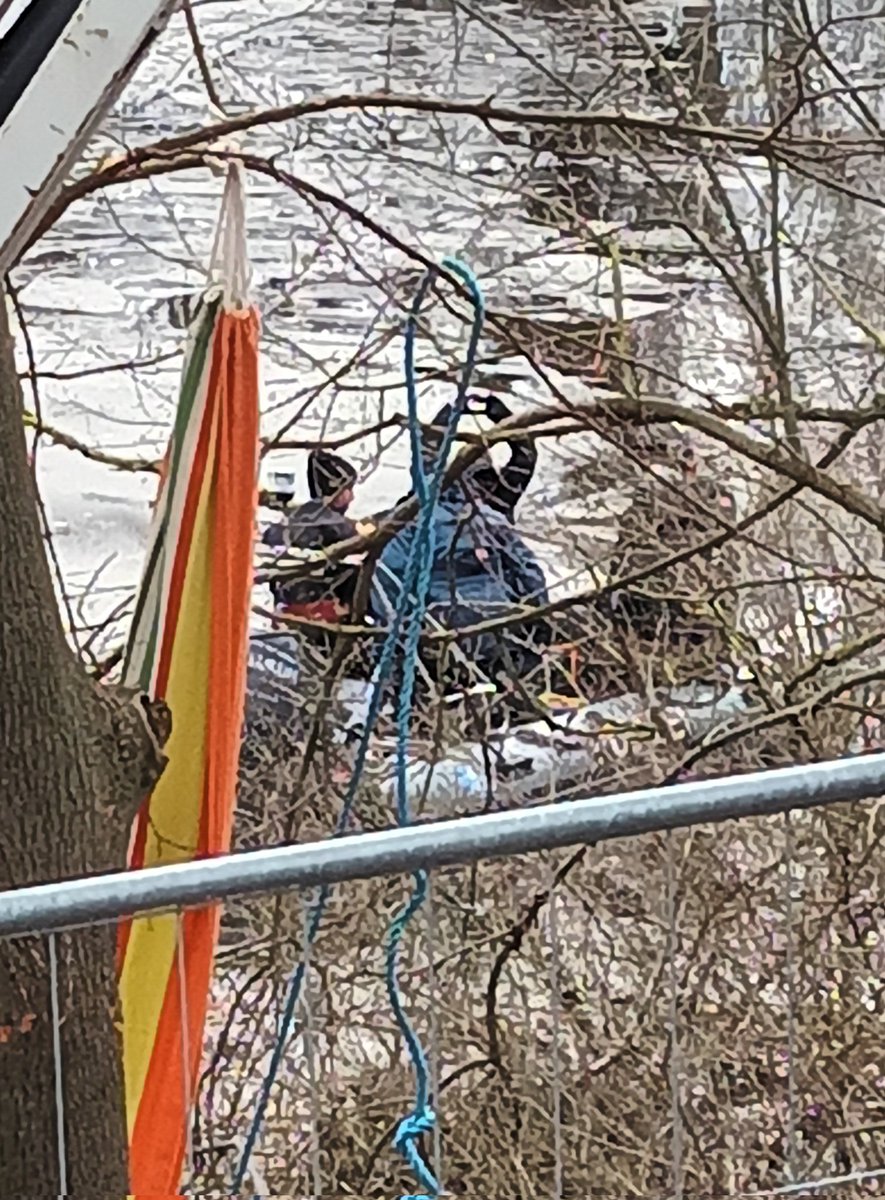 LebenAnDerKante's tweet photo. Barrio Titanic im Tümpel von #tuempeltown #leinemasch #lebt https://t.co/u9Gjj07IPb