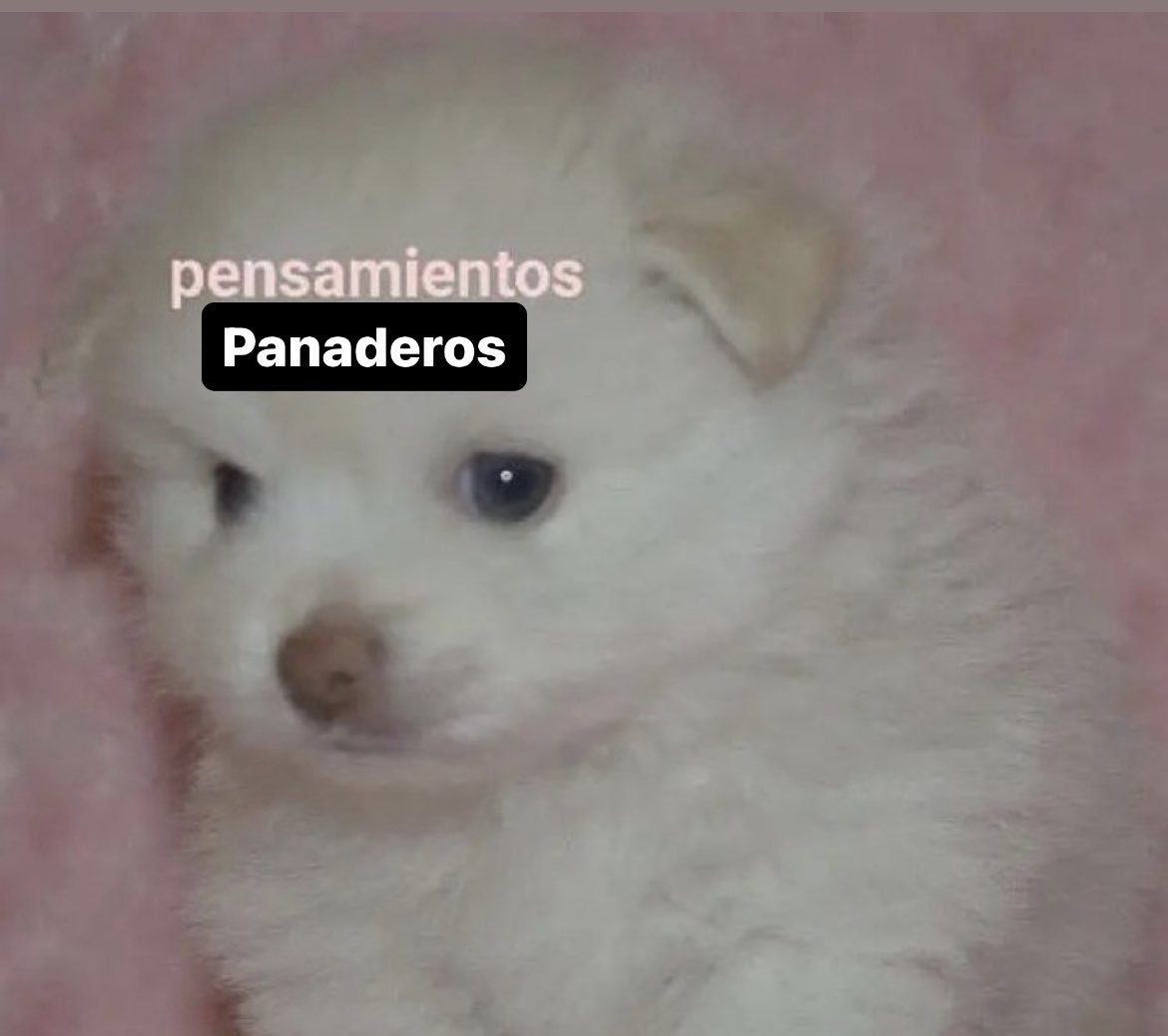 nanafren's tweet photo. Hoy voy a estar así todo el día https://t.co/4LAcoExx3v