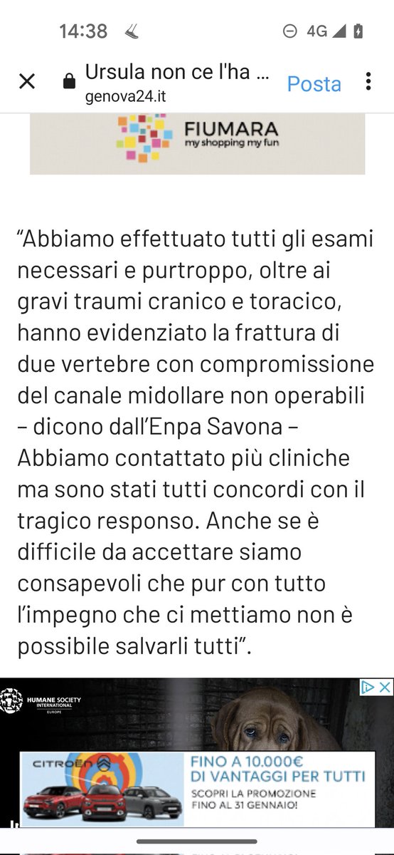 ENPA DI SAVONA, GRAZIE PER AVER TENTATO DI TUTTO PER URSULA, UNA LUPA COINVOLTA, IN UN INCIDENTE SULLA VIA AURELIA. BUON PONTE TESORO 👍🤝❤️❤️❤️❤️🌈🌈