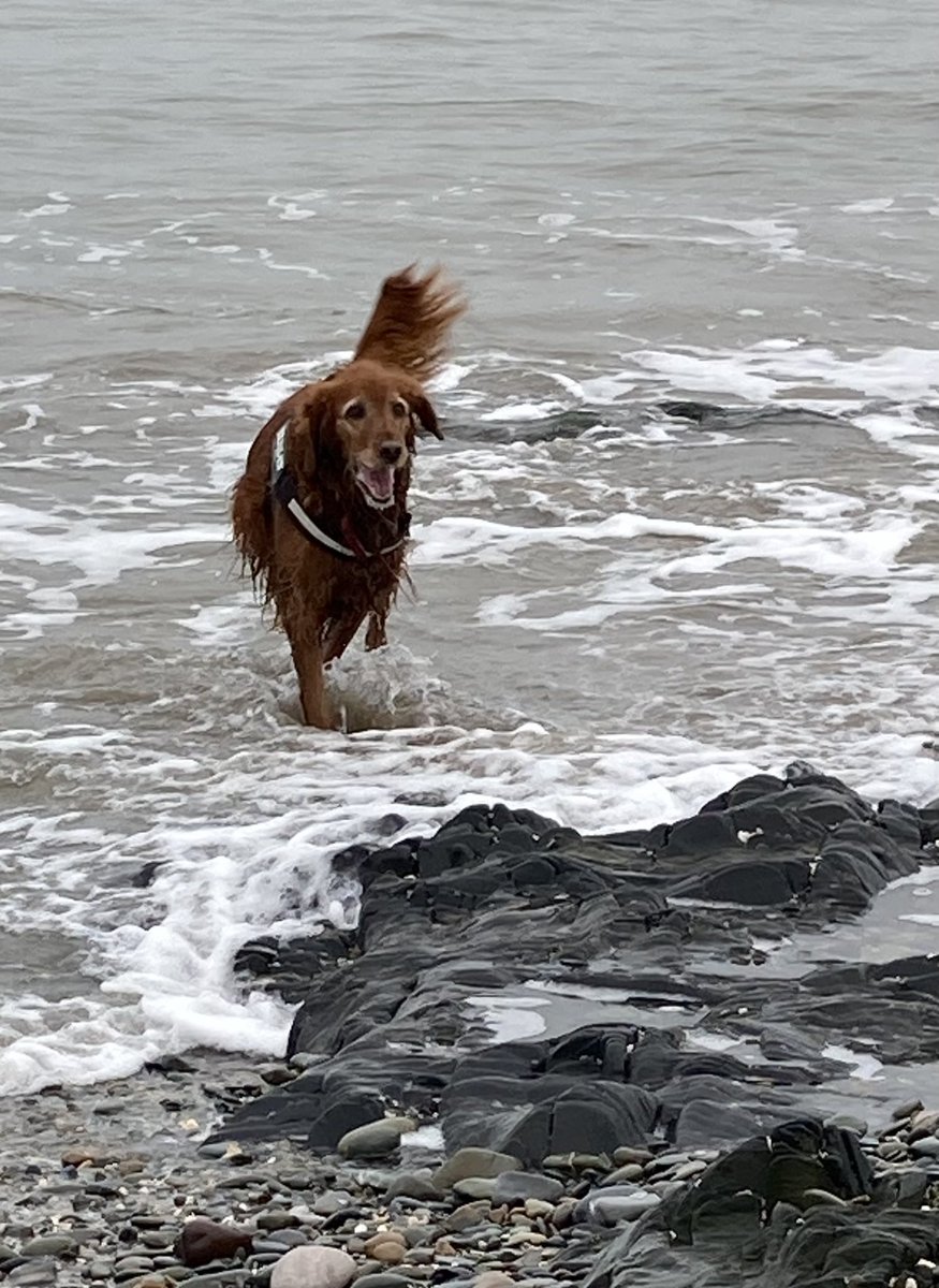 Ger Craig tweet media