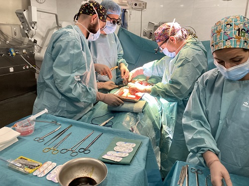 El 2023, #GràciesMAR a la generositat dels donants i de les famílies i a la feina d'un gran equip de professionals, hem pogut fer 115 #trasplantaments renals

A tot Catalunya, han estat 1.393 trasplantaments

parcdesalutmar.cat/ca/noticies/vi… #nefrologia #urologia #trasplantament #OCATT