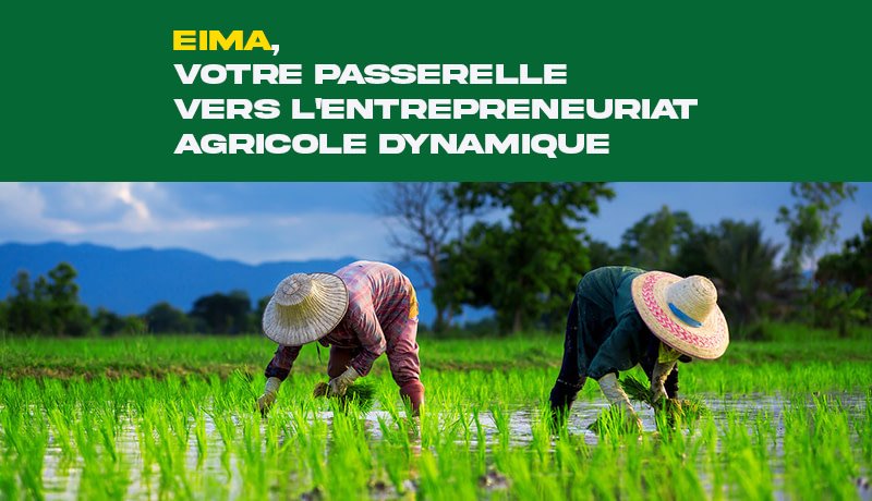 EimaEcole's tweet photo. EIMA BENIN - ÉCOLE INTERNATIONALE DES METIERS AGRICOLES

 Votre passerelle vers l'entrepreneuriat agricole dynamique. Notre mission est de former des entrepreneurs agricoles passionnés et compétents, prêts à relever les défis du secteur agroalimentaire. https://t.co/HI2D3HztNs