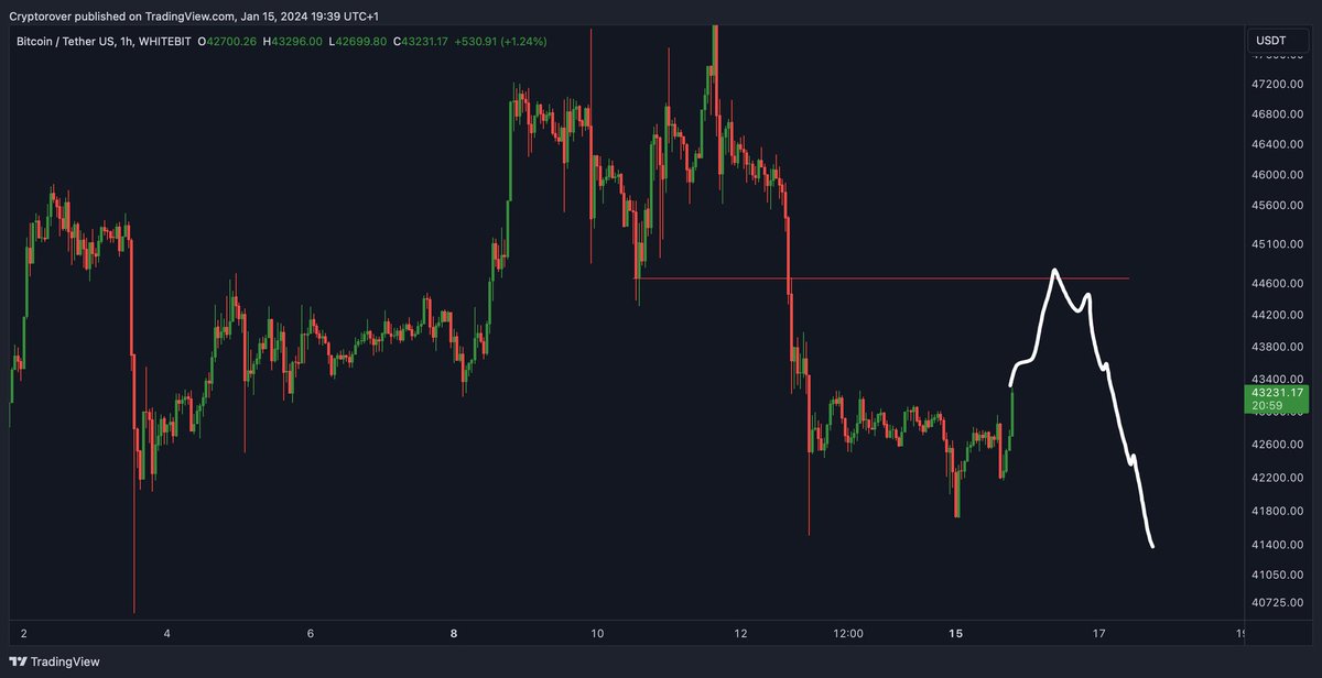 Joe Public tweet media