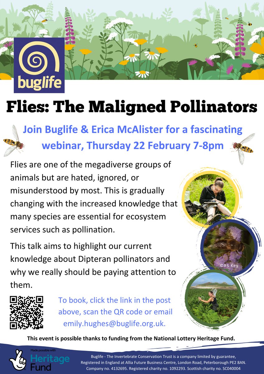 Join Buglife &amp; <a href="/flygirlNHM/">Dr Erica McAlister</a> for🪰Flies: The Maligned Pollinators

🗓️ Thursday 22 February
🕖 19:00-20:00
📌 Online via Teams

 🪰Hated.  Ignored. Misunderstood. Discover more about our #Dipteran #pollinators &amp; #LoveFlies!

Book your place 👇 #GtMB
trybooking.com/uk/events/land…