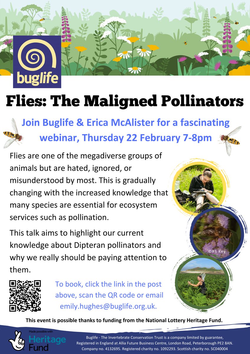 Join Buglife & @flygirlNHM for🪰Flies: The Maligned Pollinators 🗓️ Thursday 22 February 🕖 19:00-20:00 📌 Online via Teams 🪰Hated. Ignored. Misunderstood. Discover more about our #Dipteran #pollinators & #LoveFlies! Book your place 👇 #GtMB trybooking.com/uk/events/land…