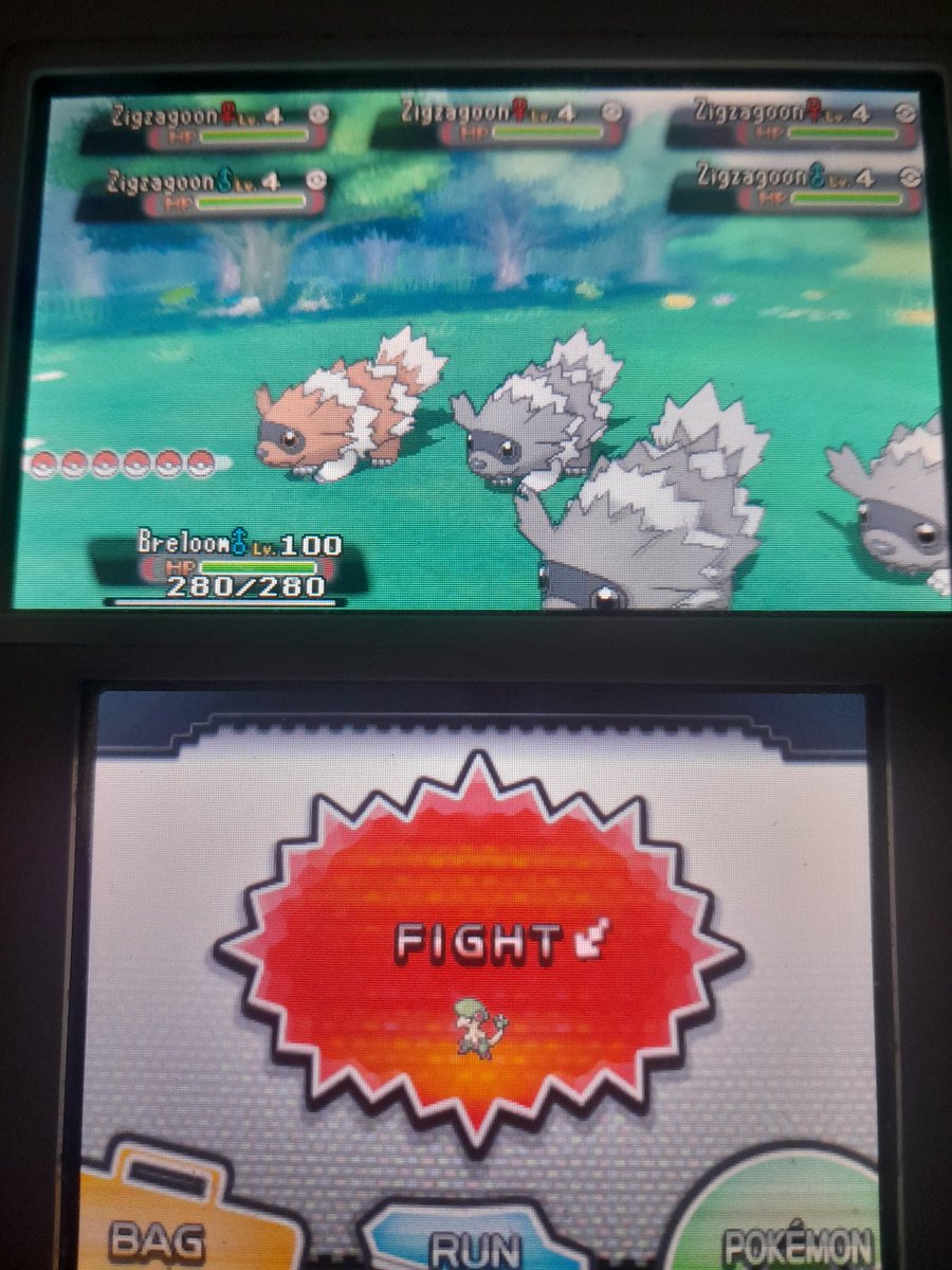 IcyBlitzyHunter's tweet photo. Shiny Zigzagoon at 395 Hordes On Pokemon Alpha Sapphire! Phase 4 on Skitty Hunt!! ✨️✨️
#ShinyPokemon #PokemonOmegaRubyAlphaSapphire #ShinyHordes #Nintendo2DS https://t.co/k1qBN45AVV