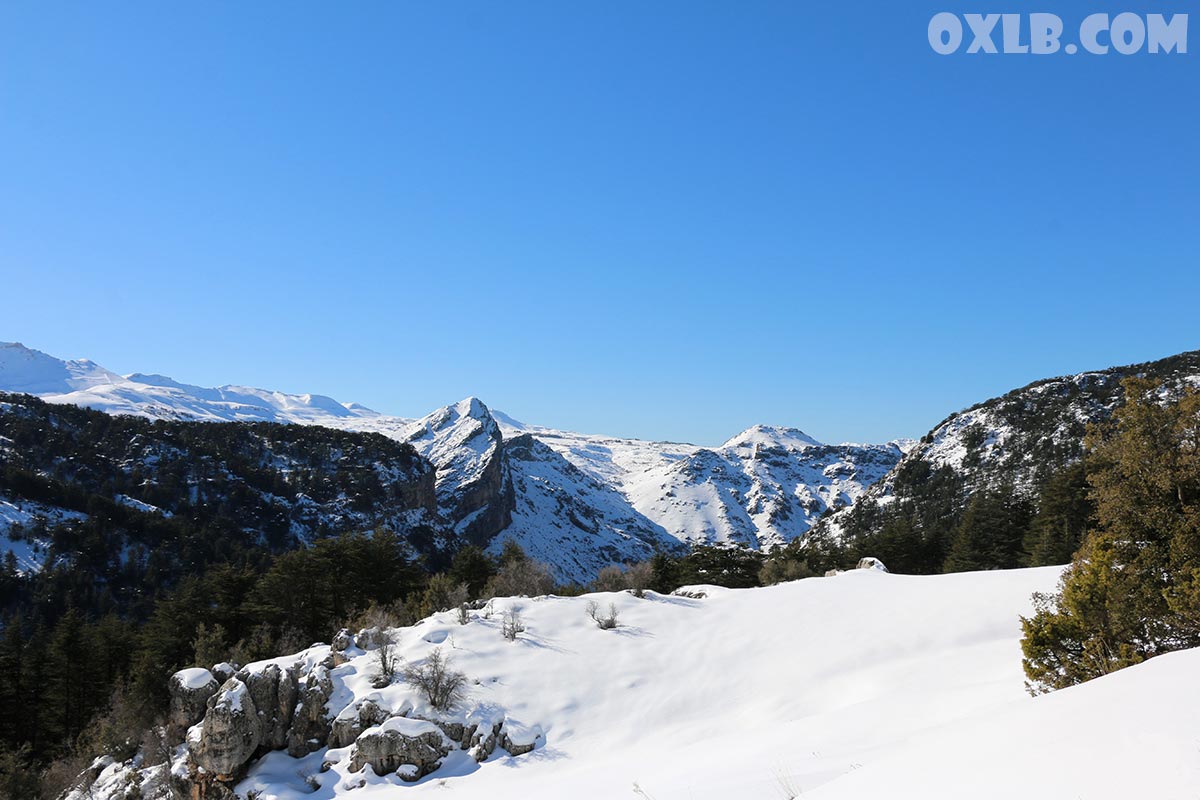 onefineart's tweet photo. Lebanon is special in winter, Warm and clear weather and a lot of snow in Jurd (Lebanese mountains)
Visit https://t.co/hdWRmI3x87

#lebanon #winter #lebanonwinter #warm #clearweather #snowmountains #jurd #lebanesemountains https://t.co/KbCfBDDb9G