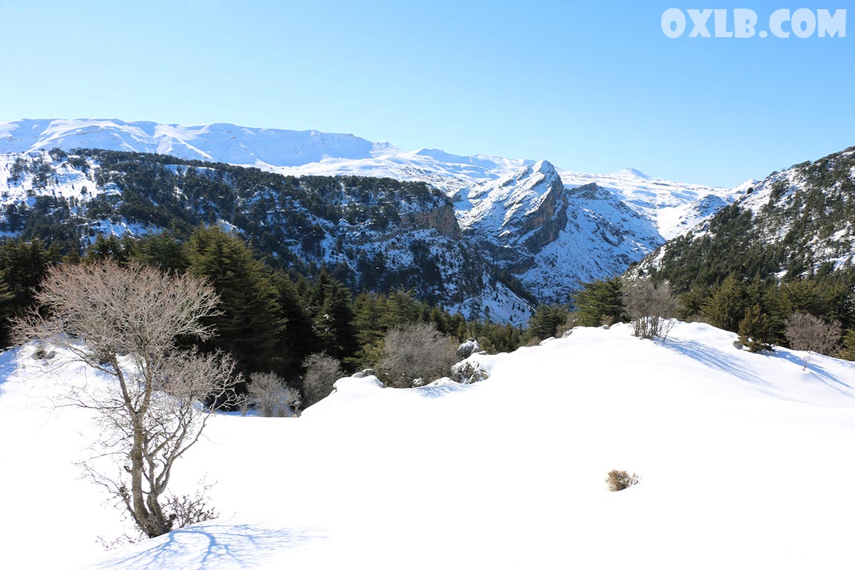 onefineart's tweet photo. Lebanon is special in winter, Warm and clear weather and a lot of snow in Jurd (Lebanese mountains)
Visit https://t.co/hdWRmI3x87

#lebanon #winter #lebanonwinter #warm #clearweather #snowmountains #jurd #lebanesemountains https://t.co/KbCfBDDb9G