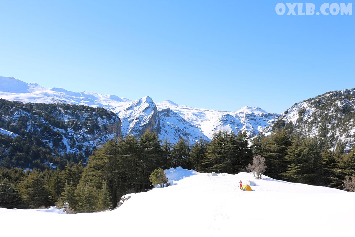 onefineart's tweet photo. Lebanon is special in winter, Warm and clear weather and a lot of snow in Jurd (Lebanese mountains)
Visit https://t.co/hdWRmI3x87

#lebanon #winter #lebanonwinter #warm #clearweather #snowmountains #jurd #lebanesemountains https://t.co/KbCfBDDb9G
