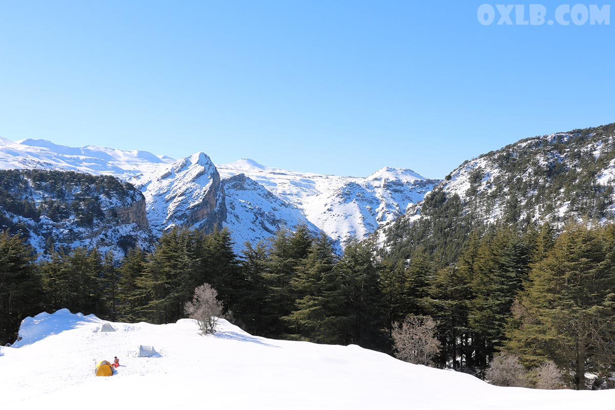 onefineart's tweet photo. Lebanon is special in winter, Warm and clear weather and a lot of snow in Jurd (Lebanese mountains)
Visit https://t.co/hdWRmI3x87

#lebanon #winter #lebanonwinter #warm #clearweather #snowmountains #jurd #lebanesemountains https://t.co/KbCfBDDb9G