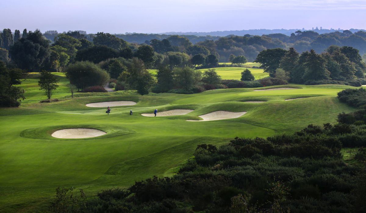 British & International Golf Greenkeepers Assn. tweet media