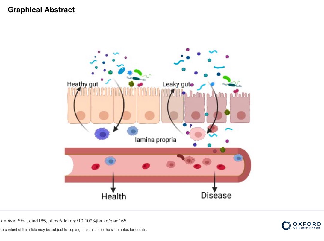 balahumed's tweet photo. Here is our very recent interesting article on the role of intestinal macrophages in gut lekage and treatment. 
Published in “Journal of Leukocyte Biology” A Oxford Publication!

https://t.co/BN35VeOQ0q https://t.co/2bxm1m1snZ