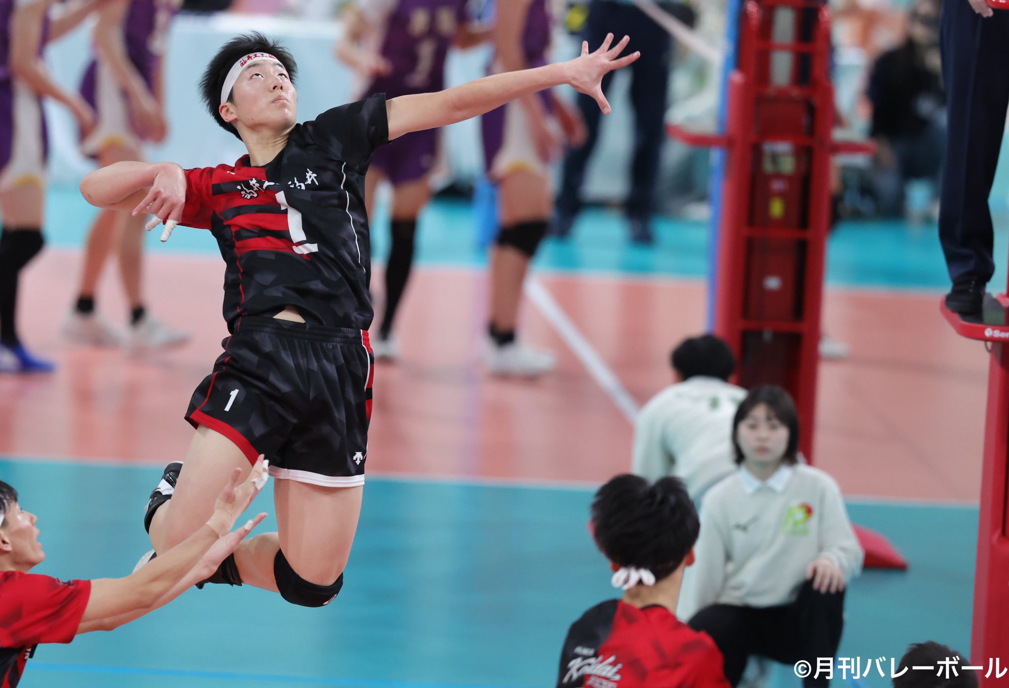 福井工大福井バレーボールゲームパンツ 月刊バレーボール【公式】 on X: 