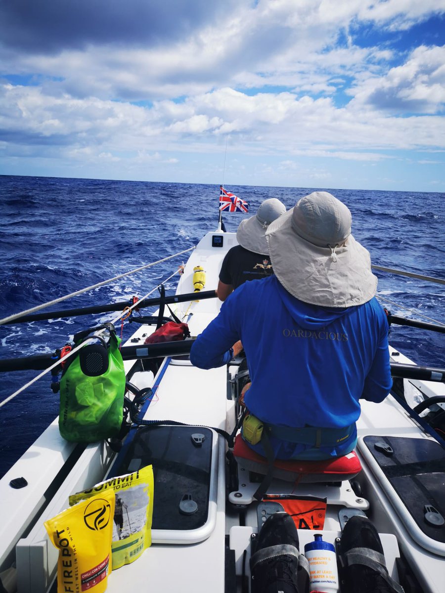 HMS Oardacious tweet media