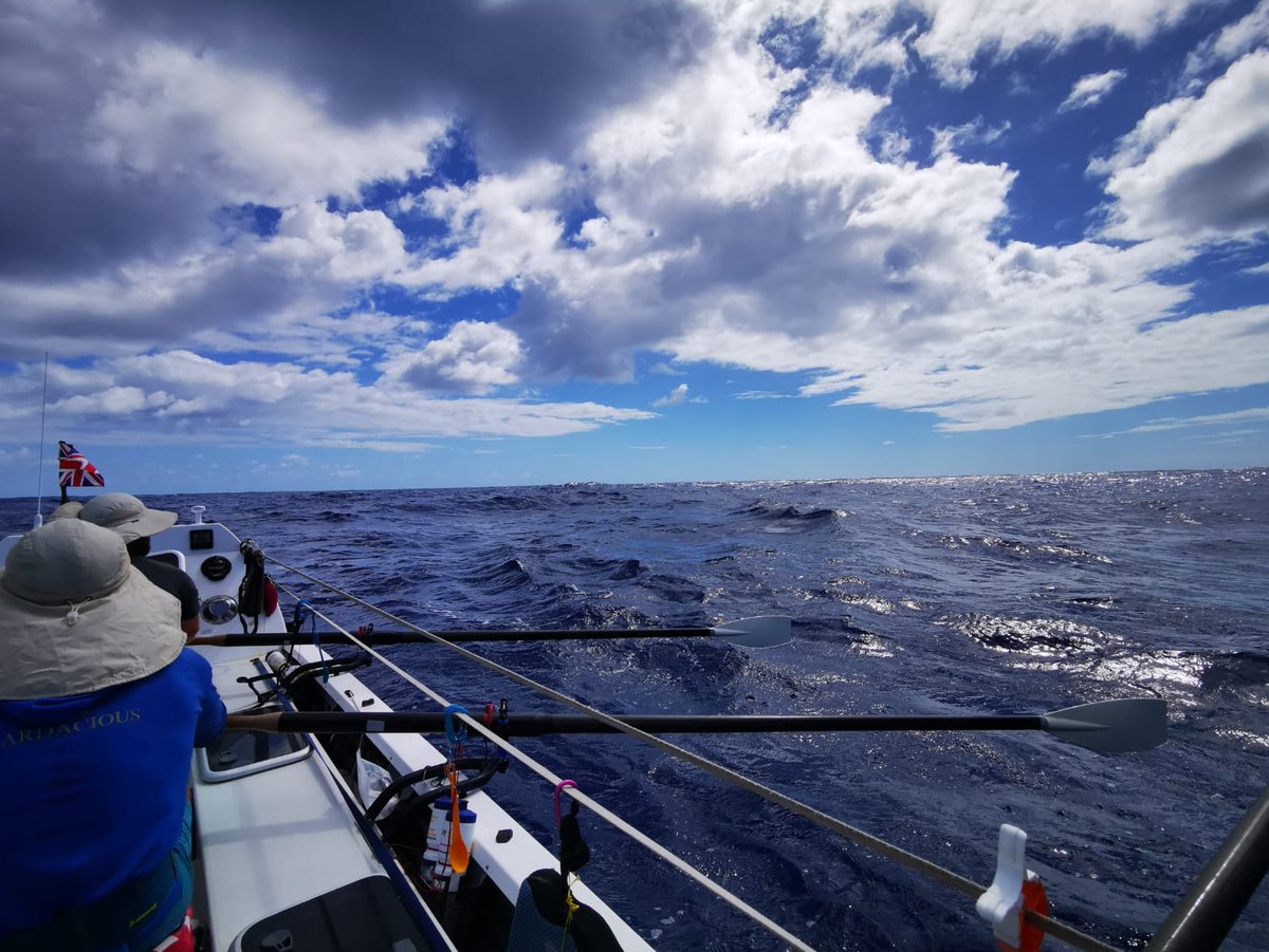 HMS Oardacious tweet media