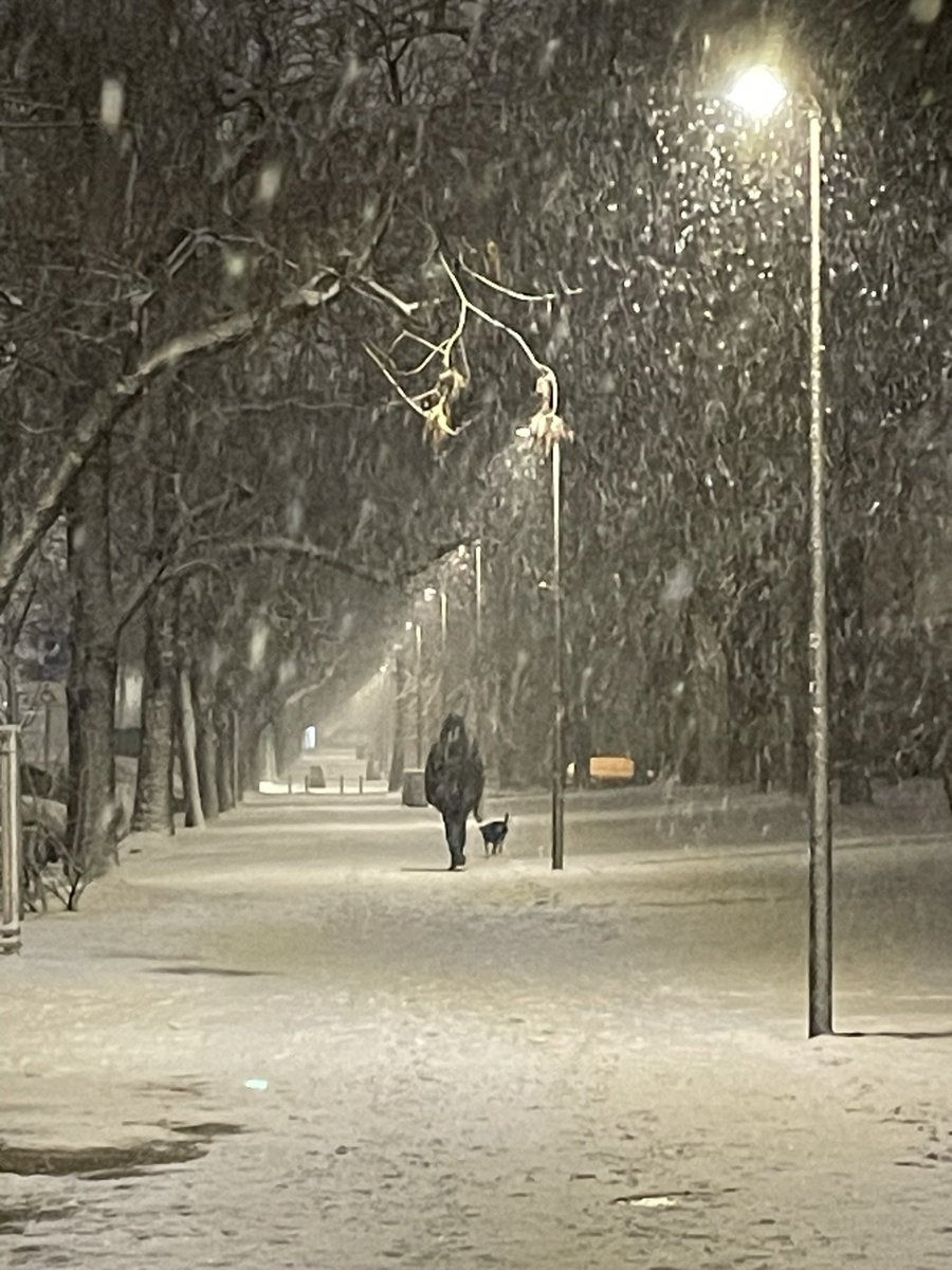 Good Day friends , just a random click yesterday evening in #warsaw #snow #WINTER