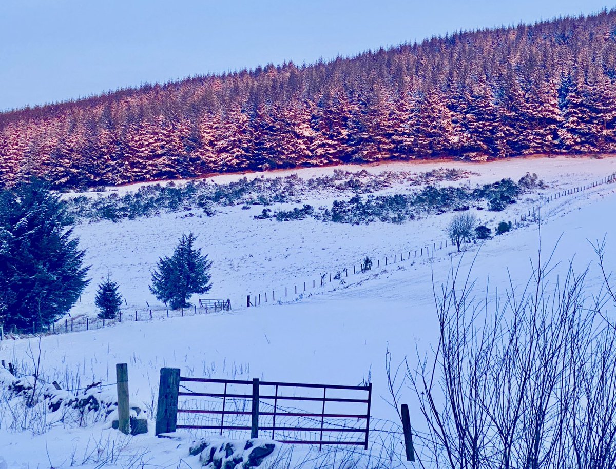 Sue cunningham (@sjc_cunningham) on Twitter photo Red sky in the morning! <a href="/metoffice/">Met Office</a> #weatherwatchers #loveukweather #metoffice Tullynessle Aberdeenshire #scottishweather #bbcweather <a href="/bbcweather/">BBC Weather</a> Red sky in the morning! <a href="/metoffice/">Met Office</a> #weatherwatchers #loveukweather #metoffice Tullynessle Aberdeenshire #scottishweather #bbcweather <a href="/bbcweather/">BBC Weather</a>