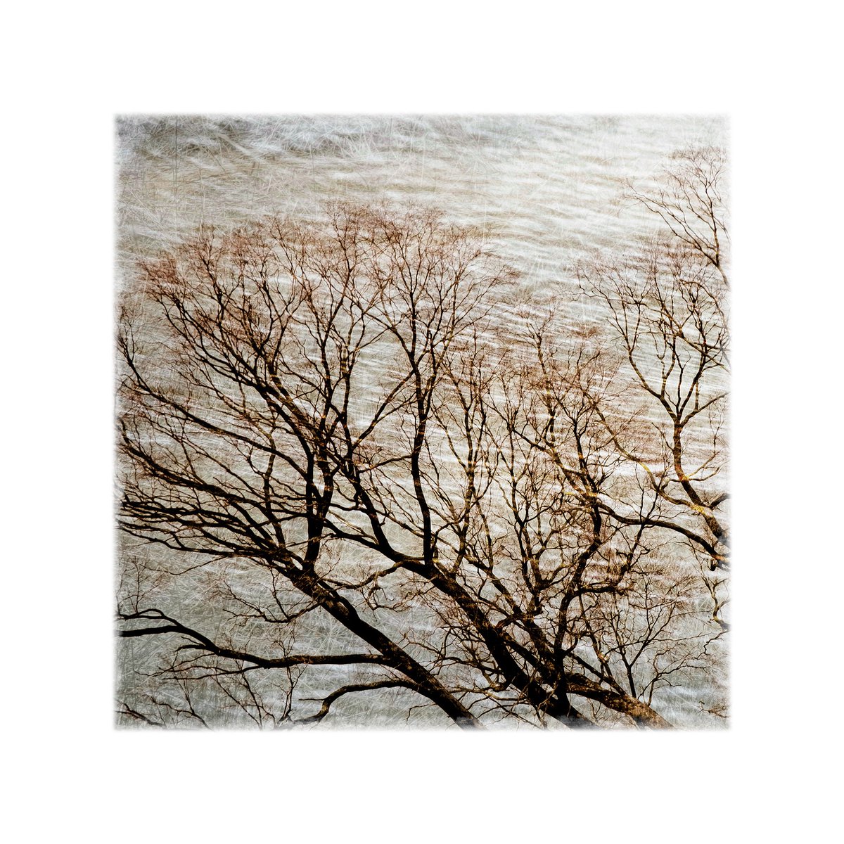John___Donegan's tweet photo. Broken Creek :|: Evolution
Showing at @red.gallery 
Opening night 16/2/2024. 
Hope to see you there https://t.co/G9lx0wlzyt