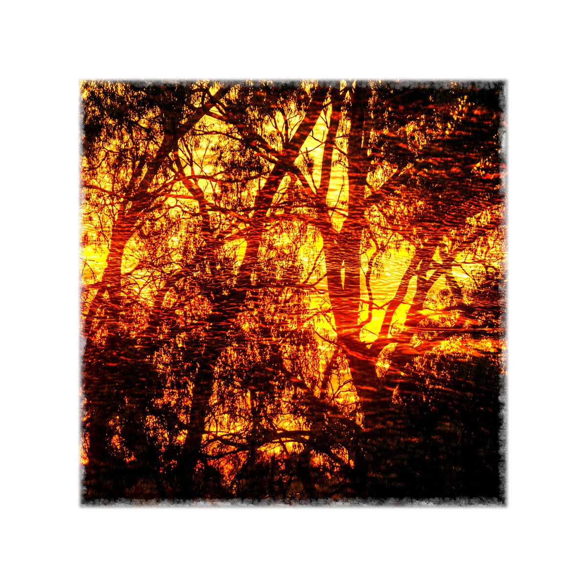 Broken Creek :|: Evolution
Showing at @red.gallery 
Opening night 16/2/2024. 
Hope to see you there