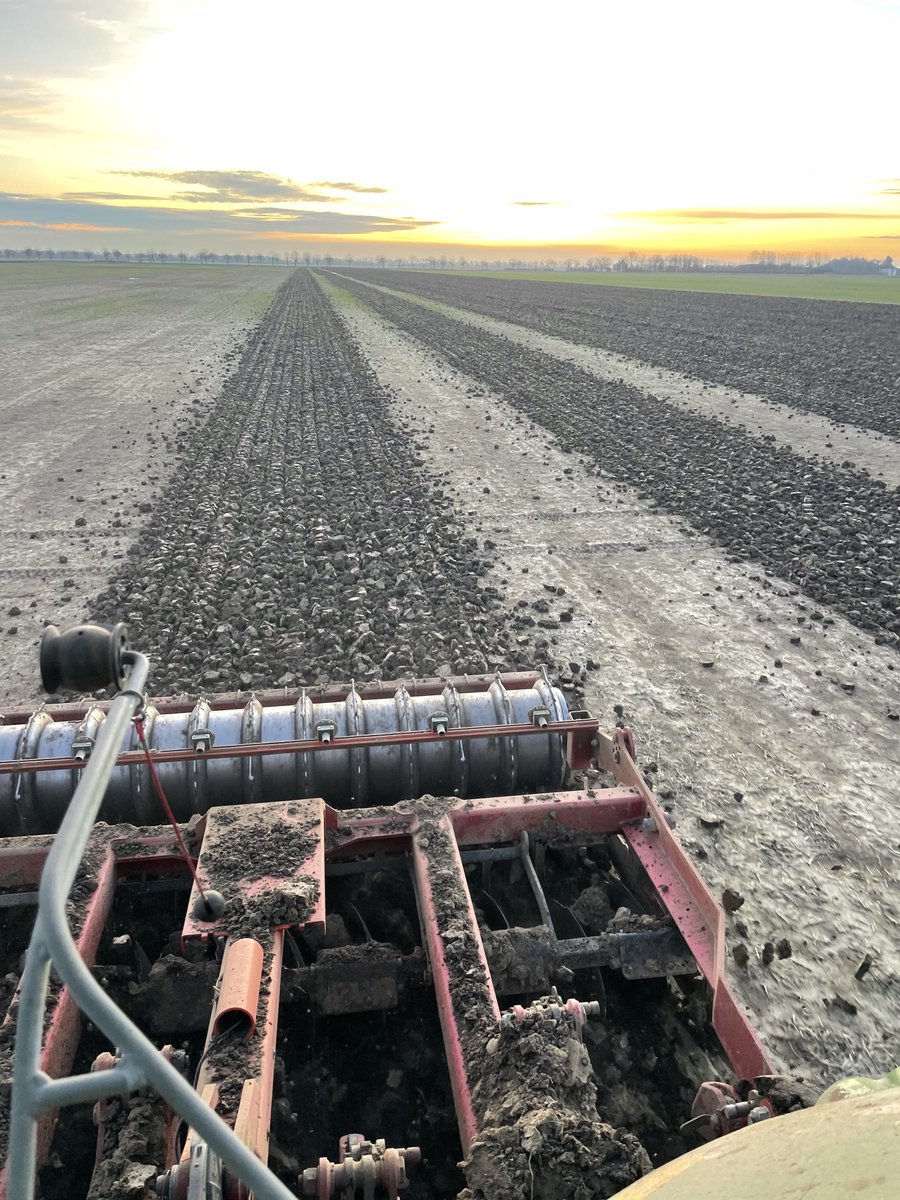 Rob Buckle tweet media