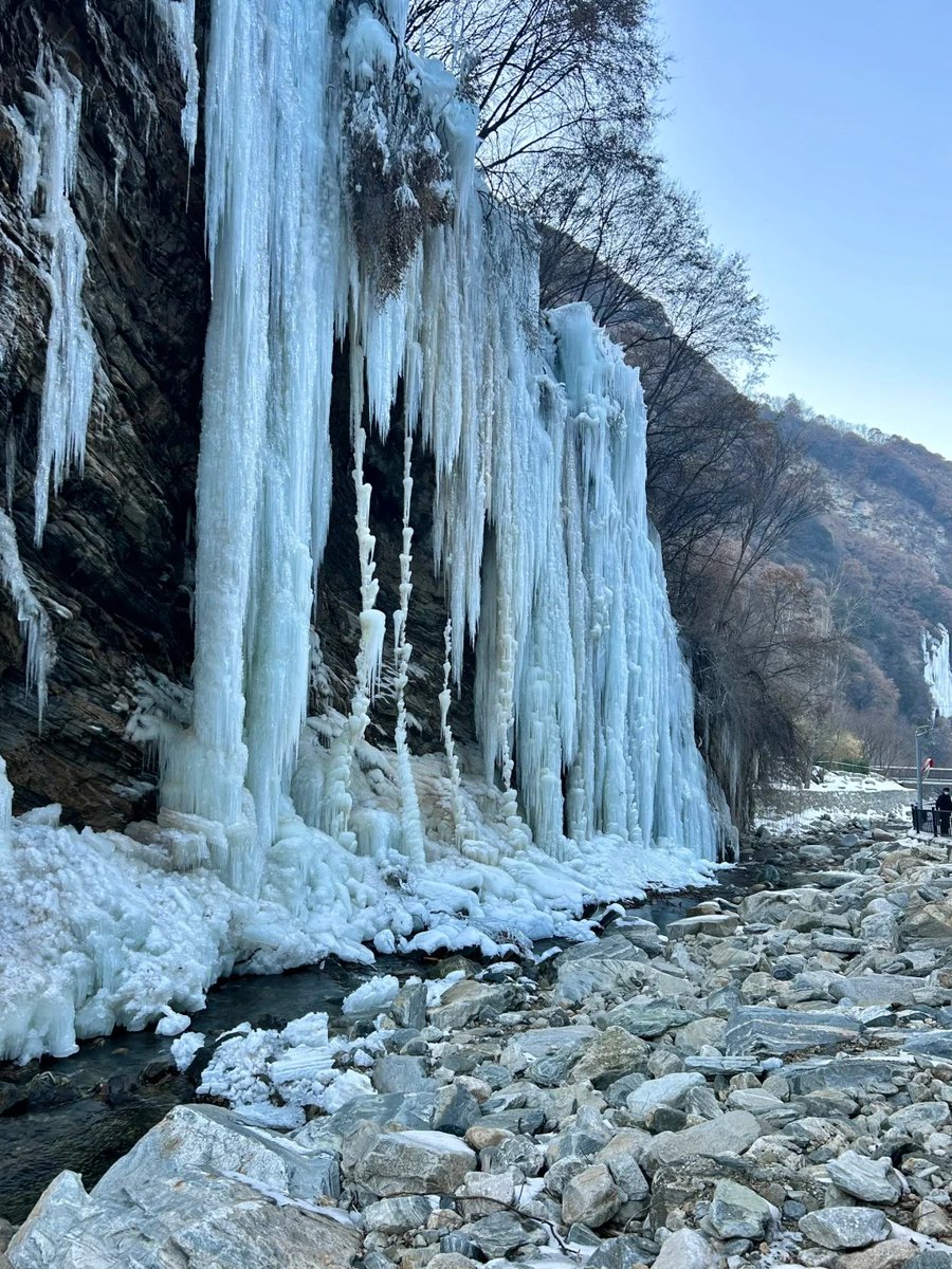ShaanxiMoments's tweet image. The enchanting sight of the Blue Ice Waterfall at the Shaohuashan National Forest Park🌳 in Weinan city is truly awe-inspiring. Nature's brushstroke painted the scenery in shades of blue💙, creating a mesmerizing spectacle. ❄️#Icefall #NatureWonder