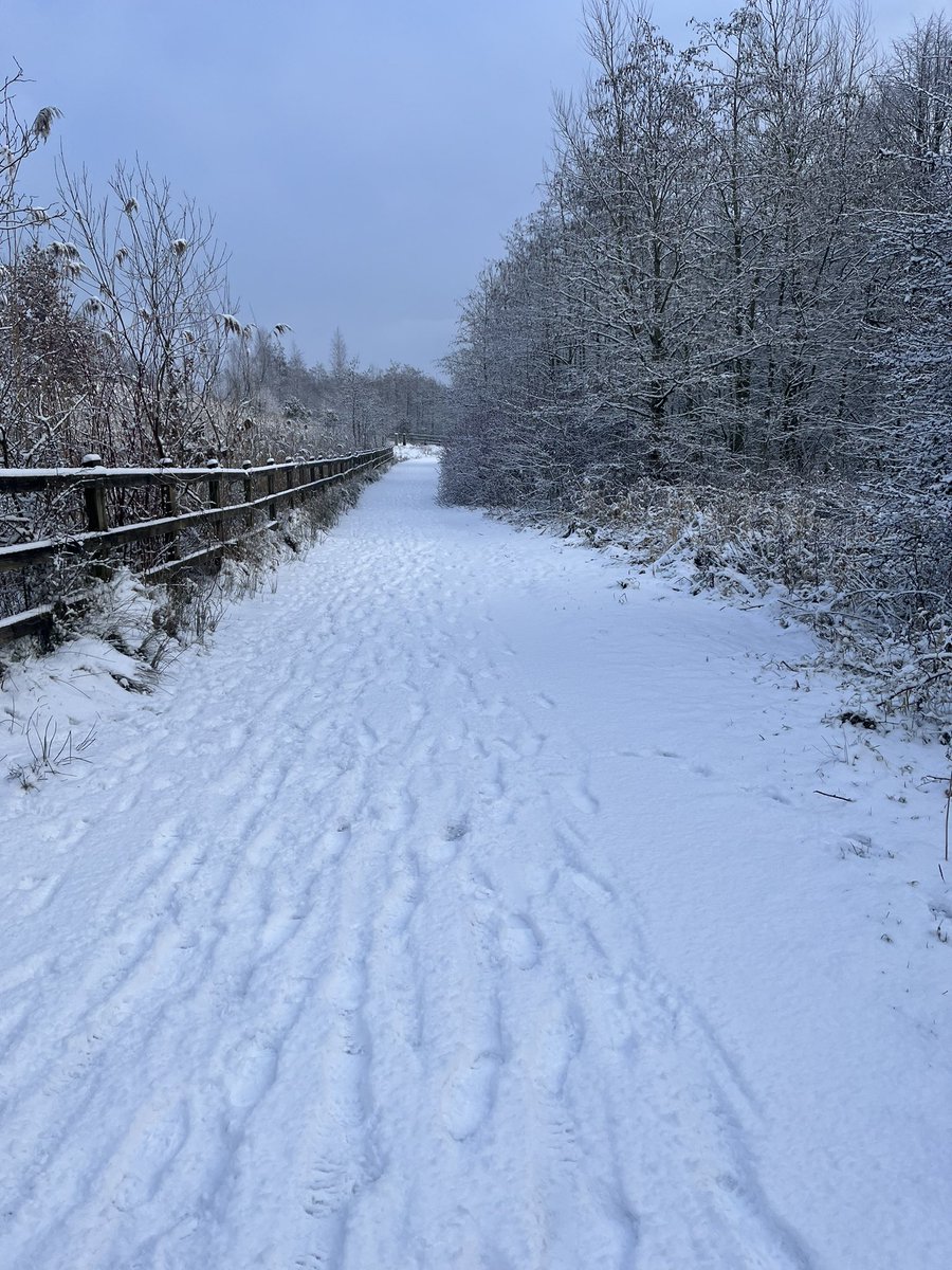 MikeJonUK's tweet photo. Winter walks in his morning. Anyone else out? https://t.co/pUe7EpEeqo