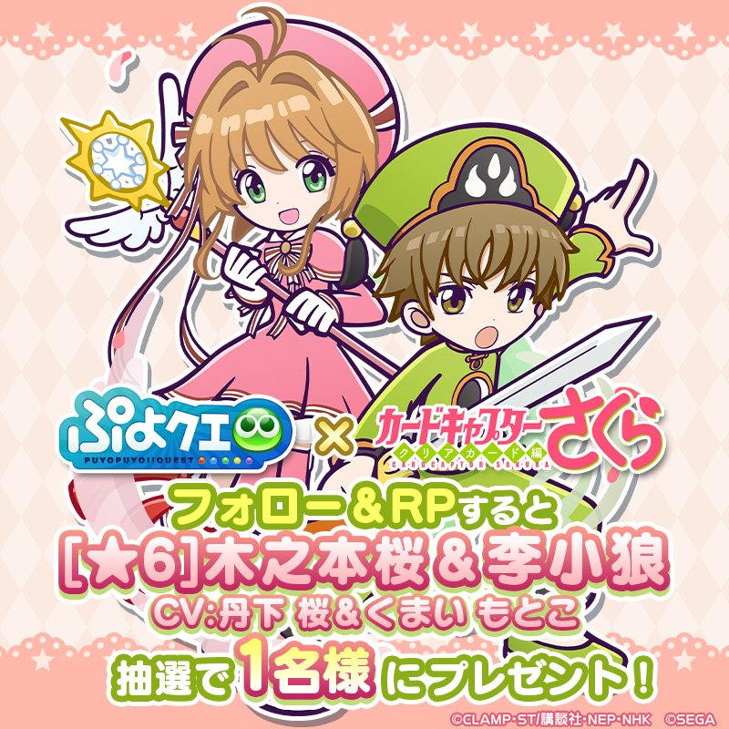 puyoquest's tweet photo. ／
#ぷよクエ ✖️ #カードキャプターさくら
🎊コラボ記念キャンペーン👼
＼

フォロー＆リポスト(RP)で応募しよう🔁
抽選で1名様に【[★6]木之本桜＆李小狼】をプレゼント🌸🐺

画像スクロールで★7スキル紹介も��ェック➡️

応募期限✅
1/21(日)23:59まで

#ccsakura