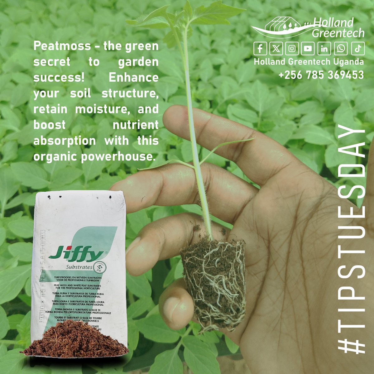 Peatmoss, the unsung hero of gardening! From enhancing soil structure to promoting water retention, peatmoss is a game-changer. #PeatmossMagic #GardenTips #GreenThumbSecrets #agronomy #agriculturetechnology #soilhealth #tipstuesday