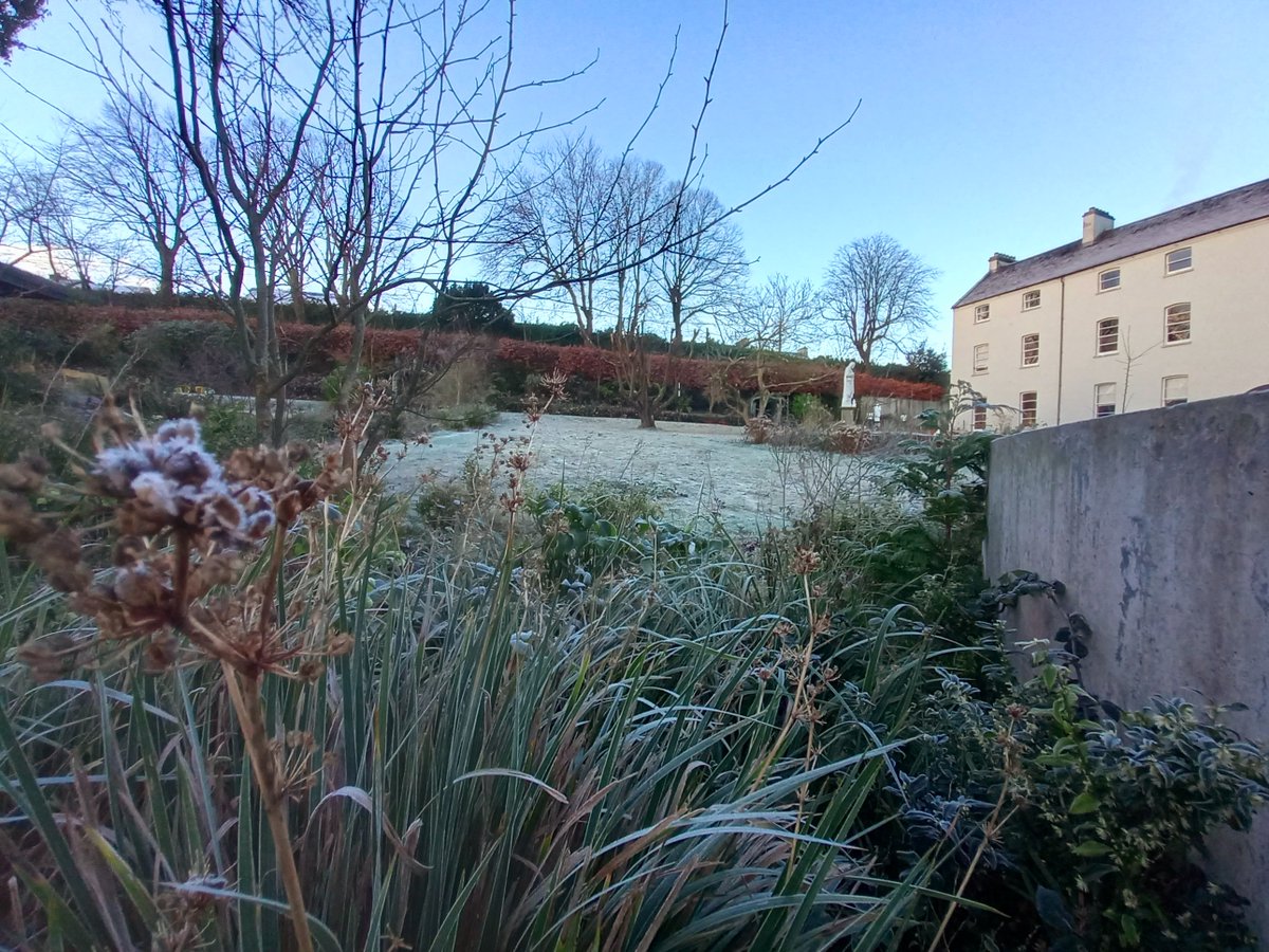 Good morning from Nano Nagle Place! It's a chilly start in Cork today, but we've got the perfect remedy to warm you up! Explore our museum and immerse yourself in the our rich history. Don't forget to treat yourself to a lovely cup of coffee and delicious food @GoodDayDeli