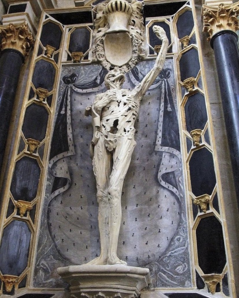 Academia Aesthetics tweet media