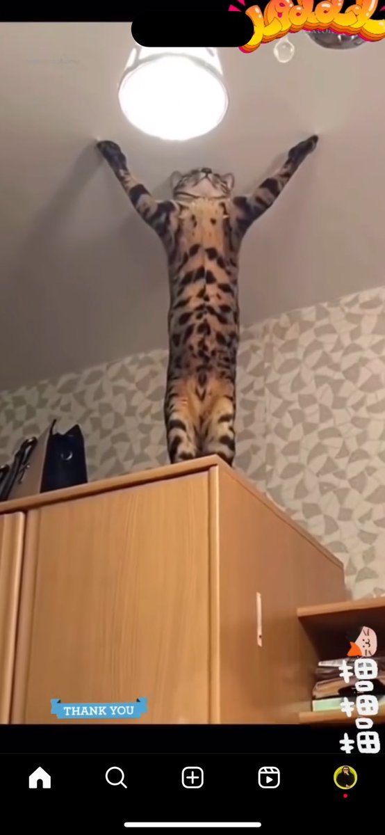 thomasjdev's tweet image. Примерно так выгляжу я и мой КОД, который я стараюсь держать