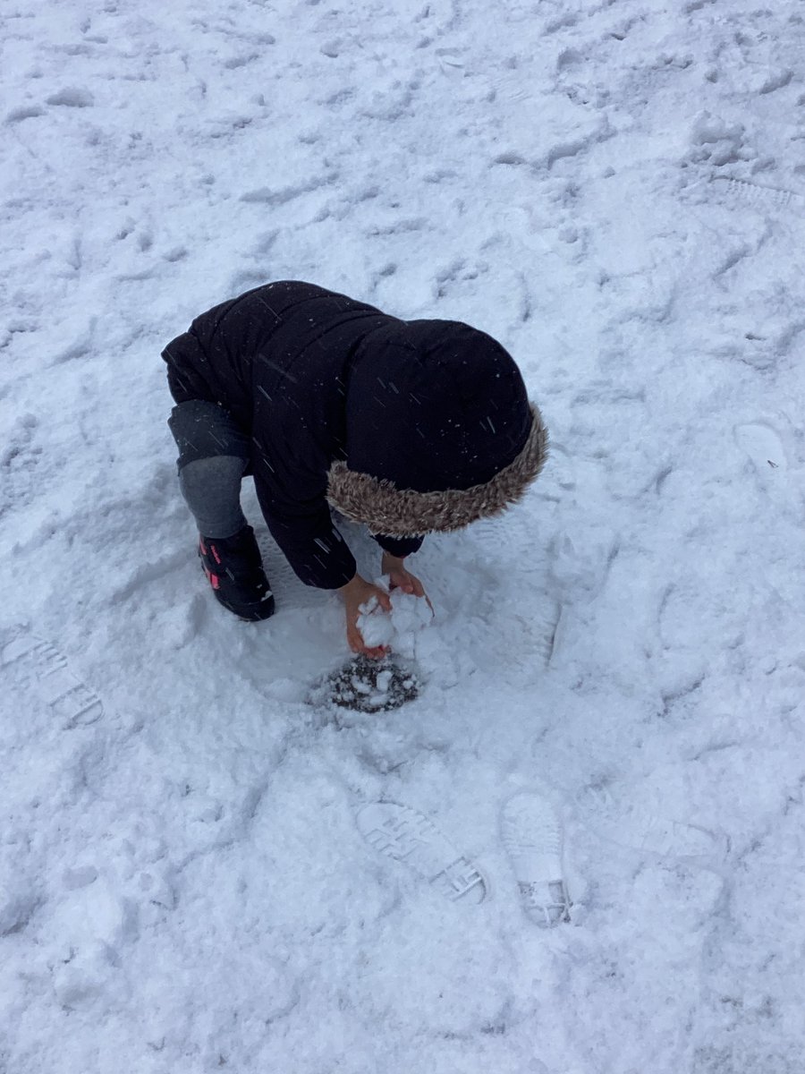 Mrs Hamilton tweet media