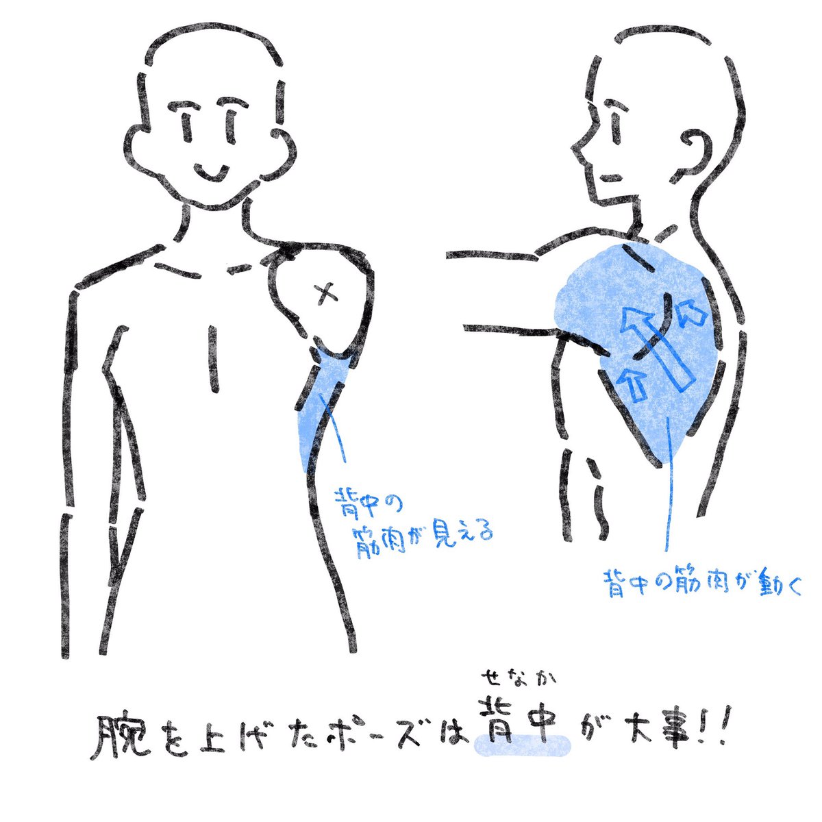腕を上げたポーズを描くコツ。 