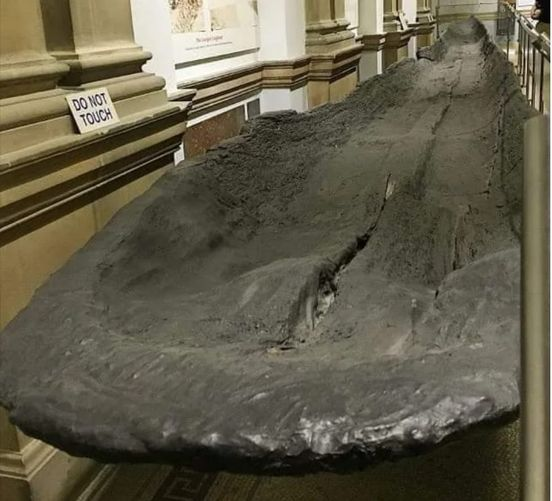 La Canoa Lurgan, un barco tallado con hachas de piedra y fuego a partir de un tronco de roble gigante hace unos 4.500 años. Mide más de 14 metros de largo por un metro de ancho. La llamada Canoa Lurgan fue descubierta en 1901, en un pantano del condado de Galway en Irlanda.