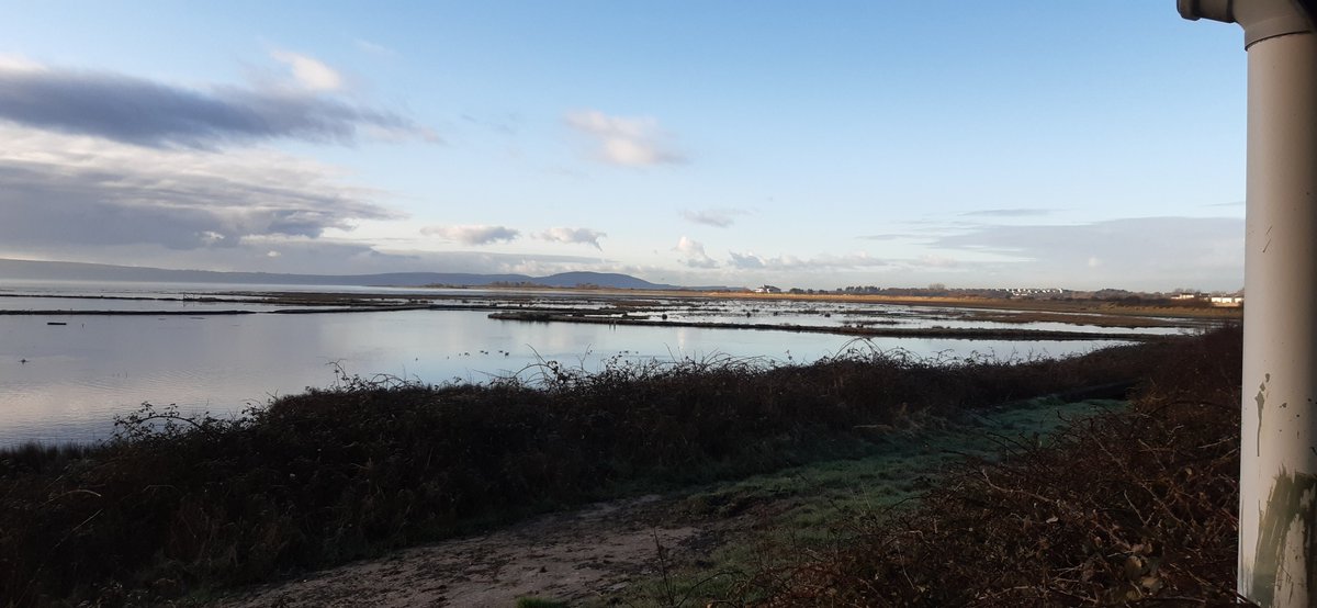 Can't recall the right hand side of the marsh looking from the steel hide being flooded before @wwt