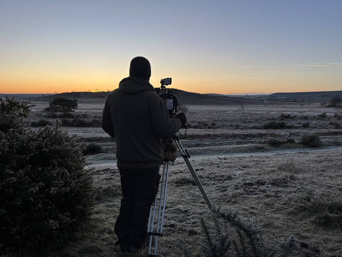 Out before dawn this morning to film my favourite bird for tomorrow night’s Winterwatch. The first show is tonight at 8pm on BBC 2. @BBCSpringwatch
