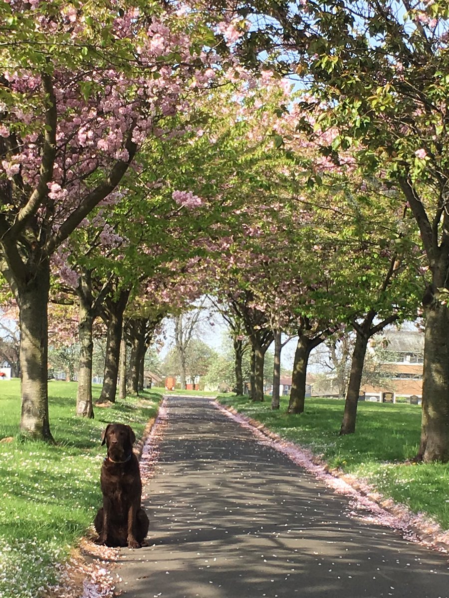 So today would have been Harry's 13th birthday. Happy birthday son. Love you x