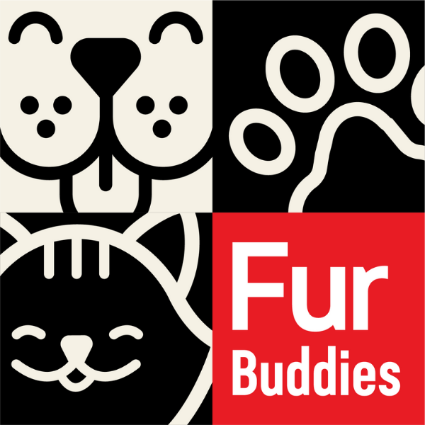 My four-legged friend and I are the newest members of the #FurBuddies Community! 🐶 🐱They'll sample free pet products while I share my reviews. So excited! 😻 Join me to connect with other pet parents, sample #FreePetProducts, and more. #ad
h3.sml360.com/-/4gd7o