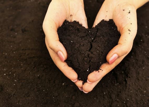 We’re looking forward to being part of the recently announced “Land Use for Net Zero” (LUNZ) Hub, with £6.5 million funding from UKRI. The consortium will provide UK and devolved nations evidence to help drive the land transformations needed to help achieve Net Zero by 2050.